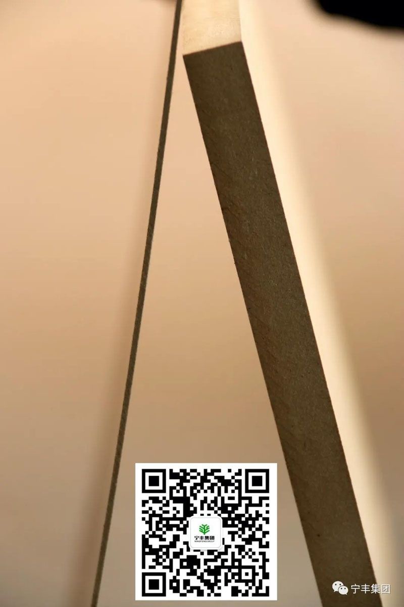 20213171357590